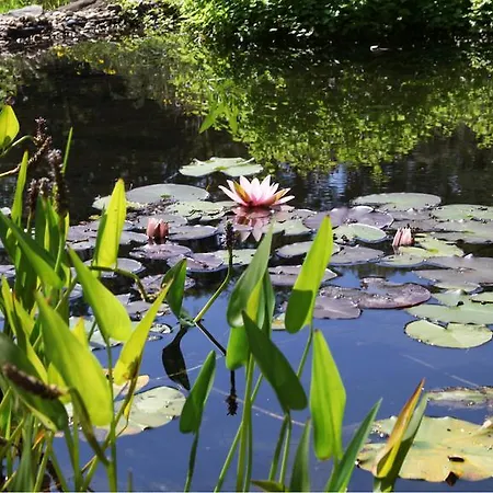 Literaturhotel Franzosenhohl 4* Iserlohn