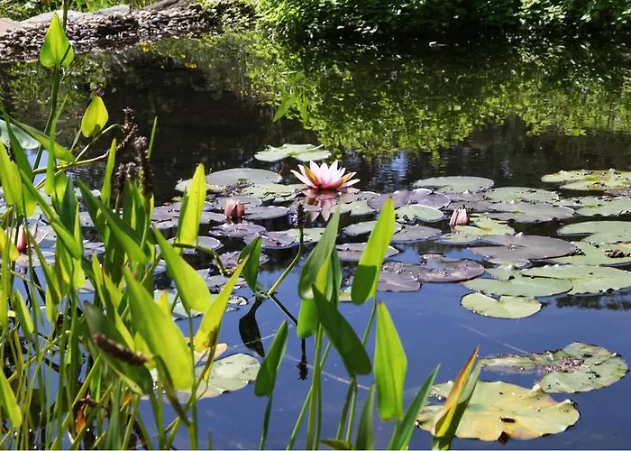 Literaturhotel Franzosenhohl 4* 伊瑟隆